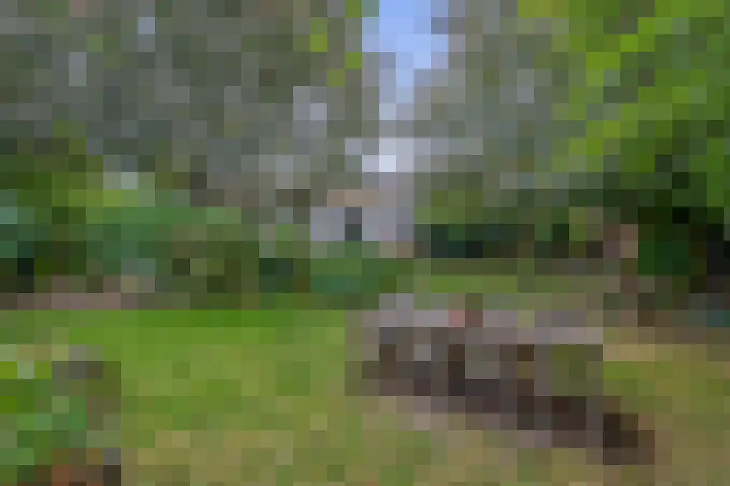 Wilhelminalaan 20 Reuver thumbnail 46