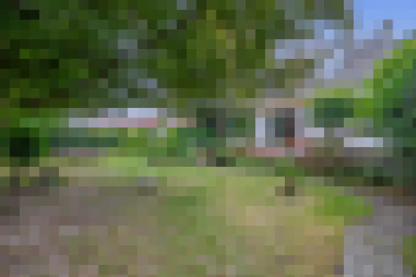 Wilhelminalaan 20 Reuver thumbnail 54