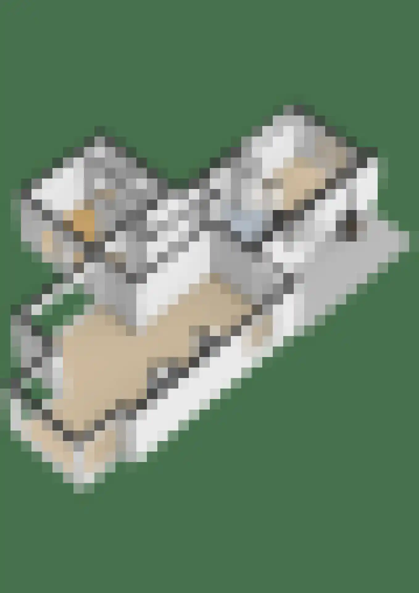Wilhelminalaan 20 Reuver thumbnail 61
