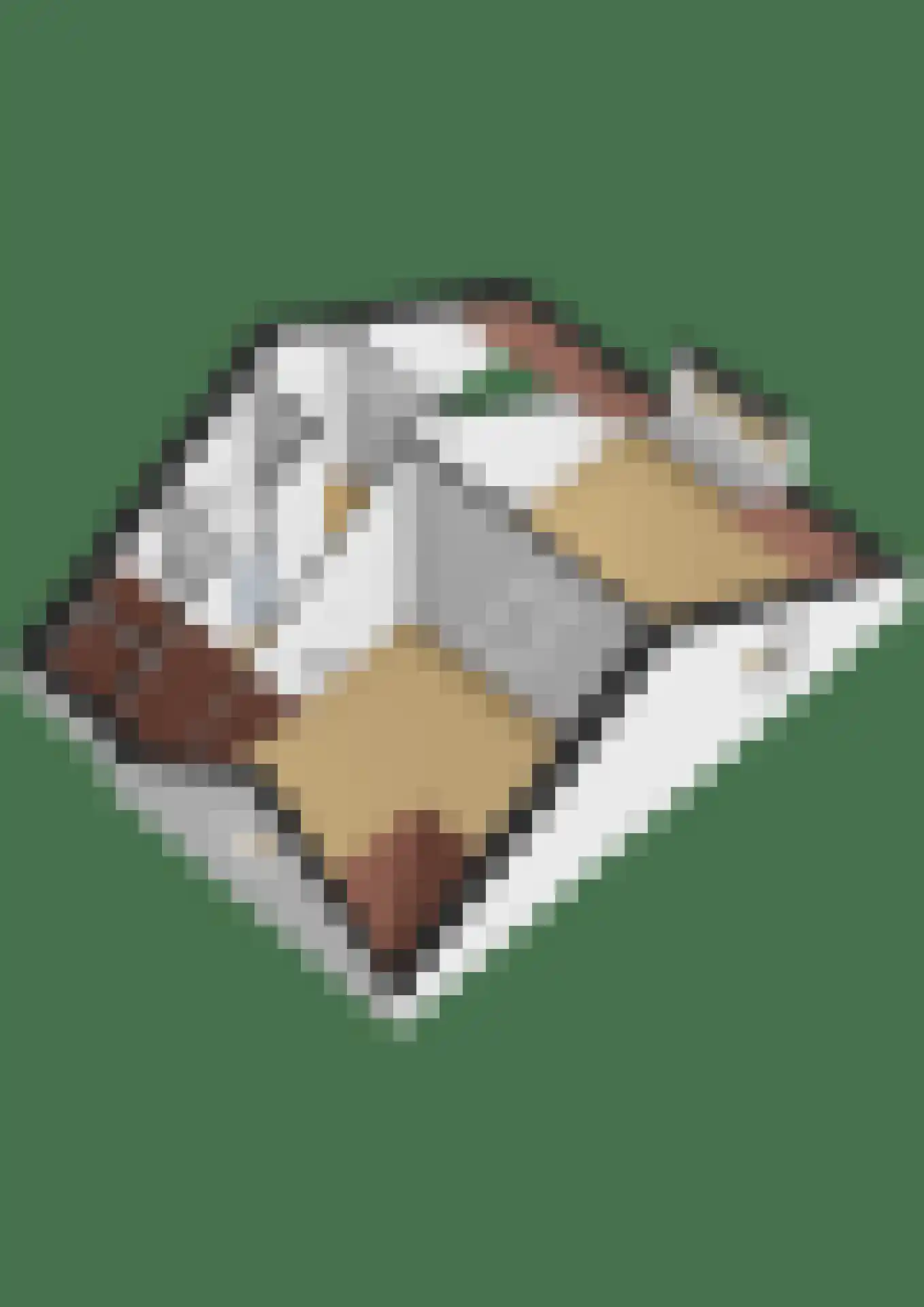 Wilhelminalaan 20 Reuver thumbnail 63