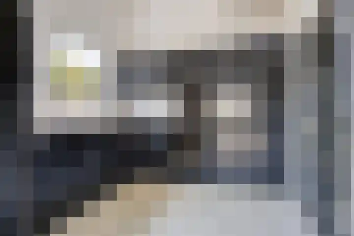 Wilhelminalaan 20 Son en Breugel thumbnail 17