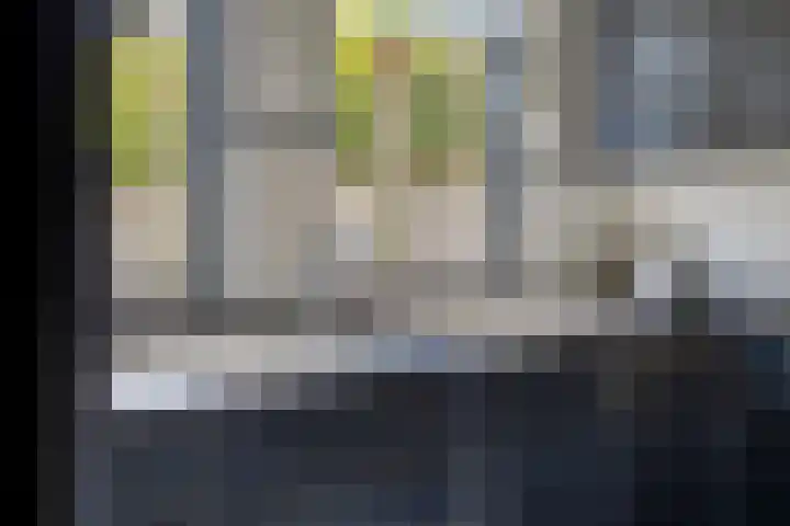 Wilhelminalaan 20 Son en Breugel thumbnail 18