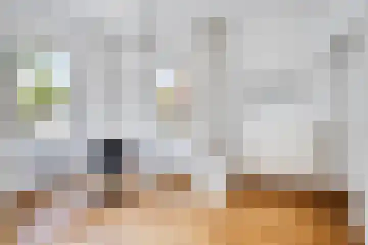 Wilhelminalaan 20 Son en Breugel thumbnail 19