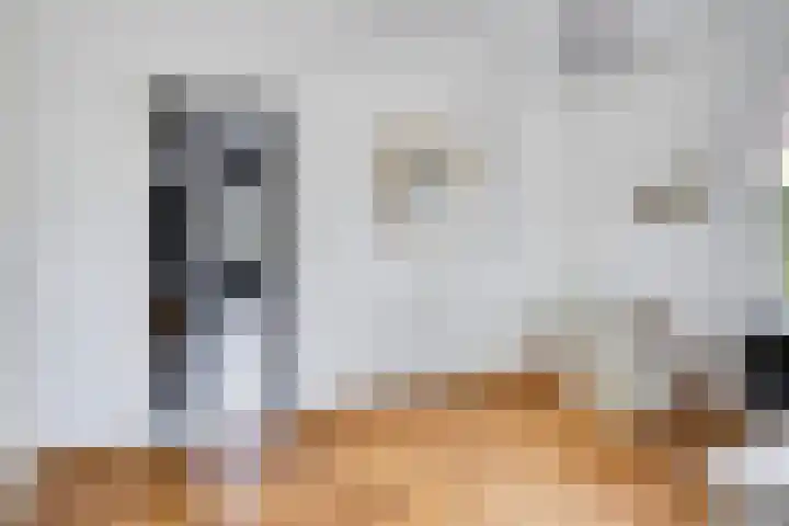 Wilhelminalaan 20 Son en Breugel thumbnail 21