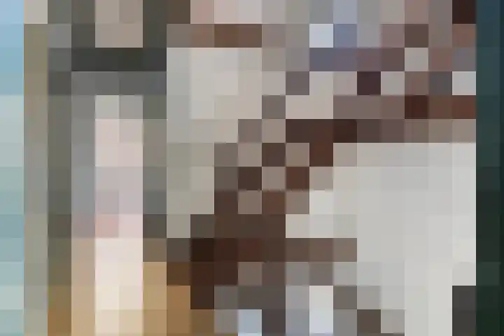 Wilhelminalaan 20 Son en Breugel thumbnail 22