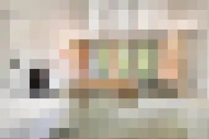 Wilhelminalaan 20 Son en Breugel thumbnail 26
