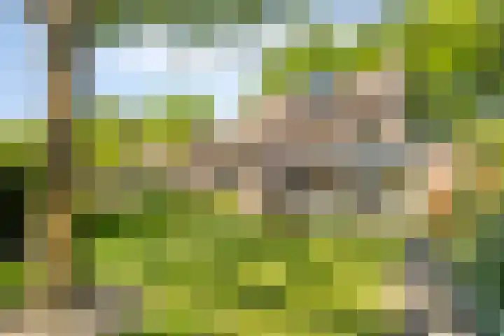 Wilhelminalaan 20 Son en Breugel thumbnail 4