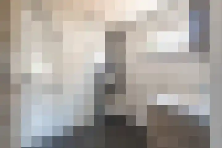 Wilhelminalaan 21 Grevenbicht thumbnail 15