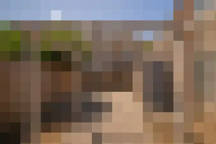 Wilhelminalaan 21 Grevenbicht thumbnail 22