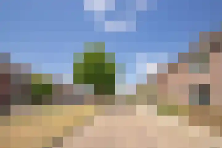 Wilhelminalaan 21 Grevenbicht thumbnail 27