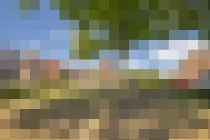 Wilhelminalaan 21 Grevenbicht thumbnail 28