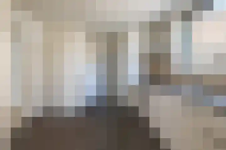 Wilhelminalaan 21 Grevenbicht thumbnail 6