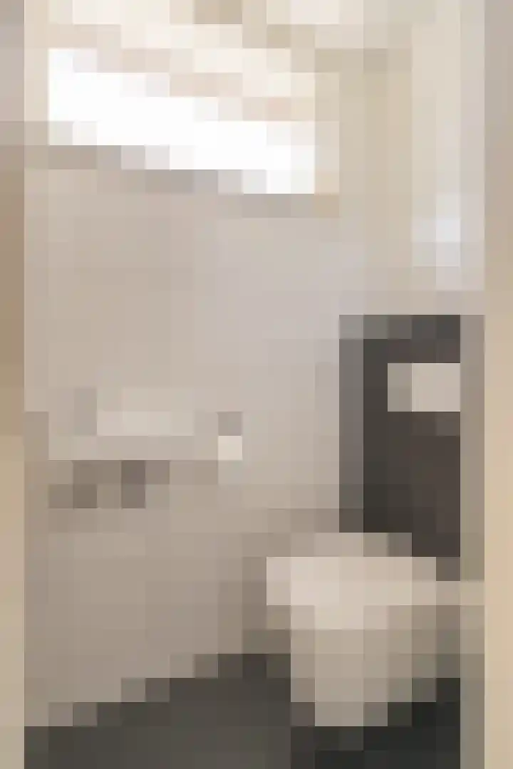 Wilhelminalaan 21 Grevenbicht thumbnail 9