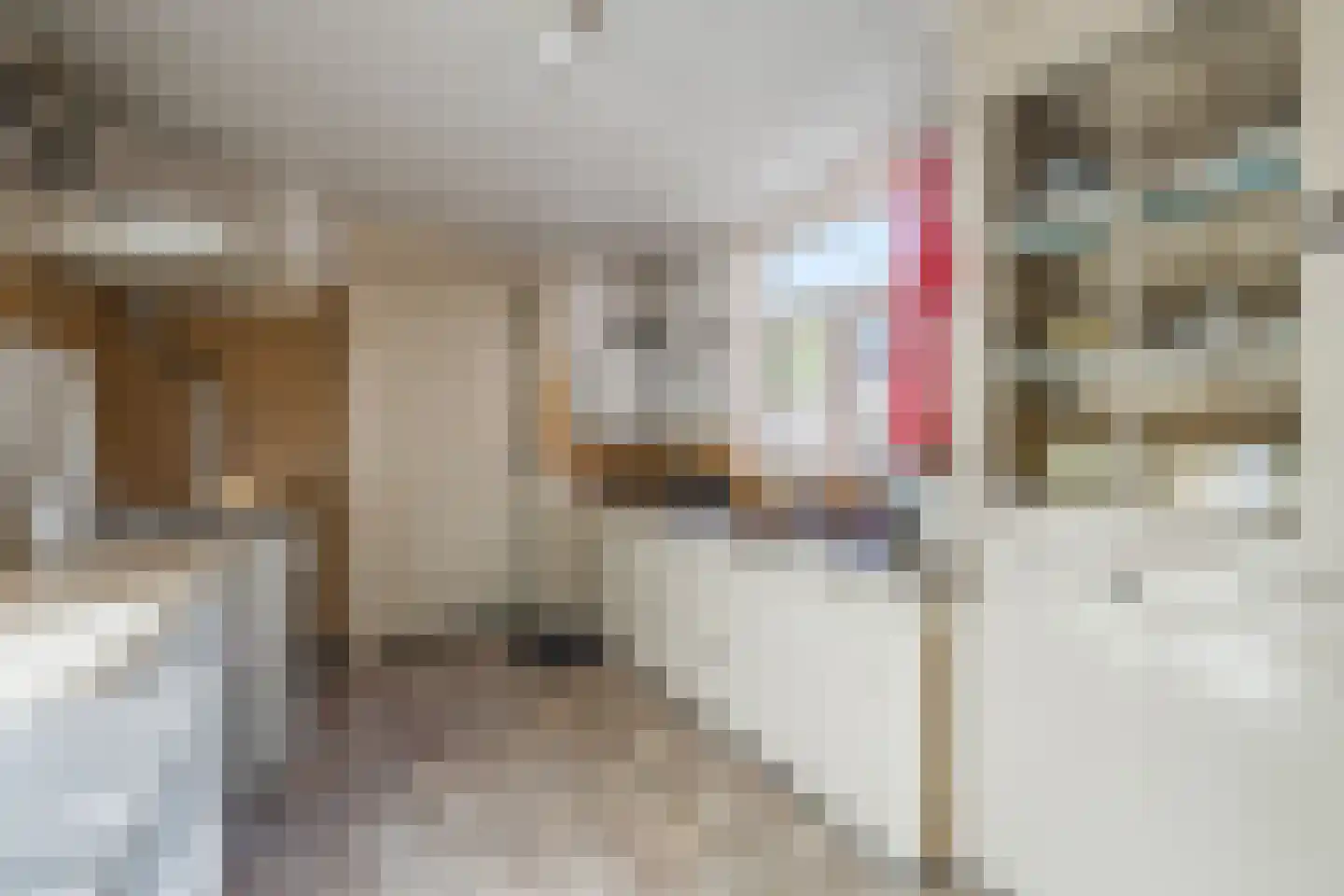 Wilhelminalaan 21 Oosterhout thumbnail 22