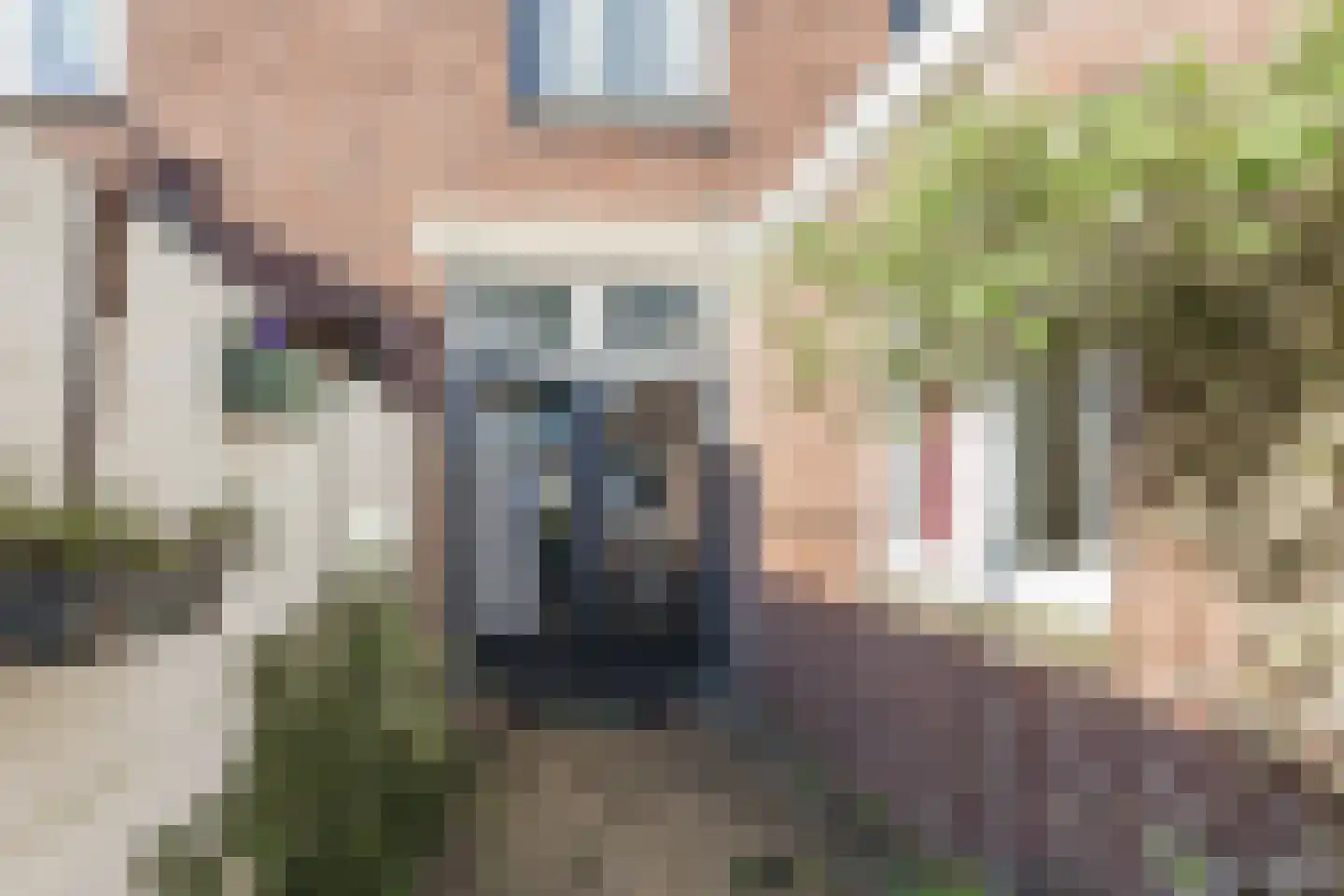 Wilhelminalaan 21 Oosterhout thumbnail 50