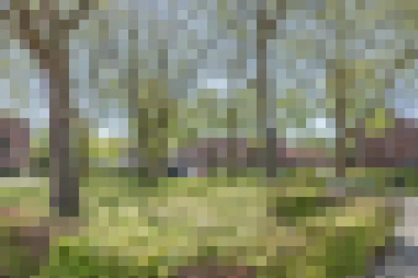 Wilhelminalaan 21 Oosterhout thumbnail 67