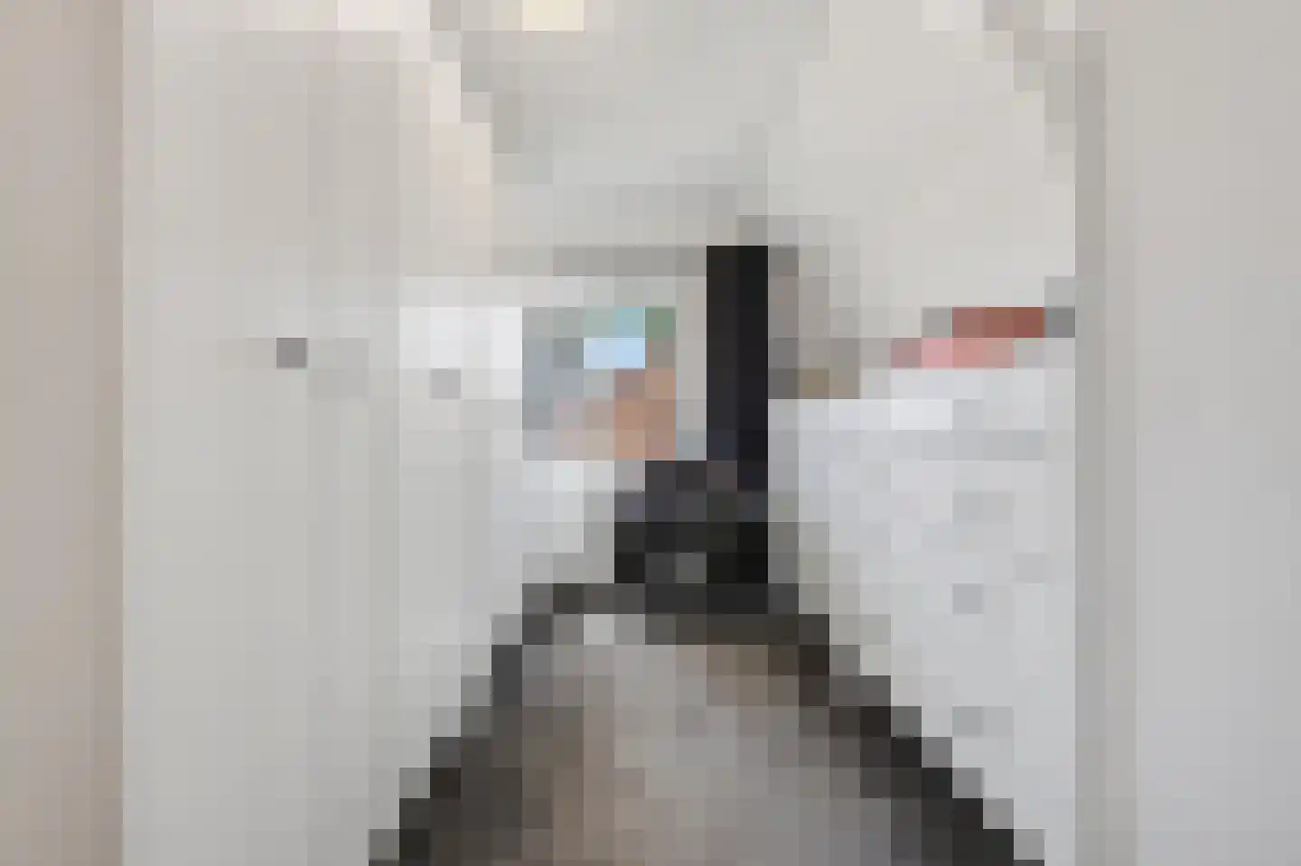 Wilhelminalaan 22 Den Burg thumbnail 34
