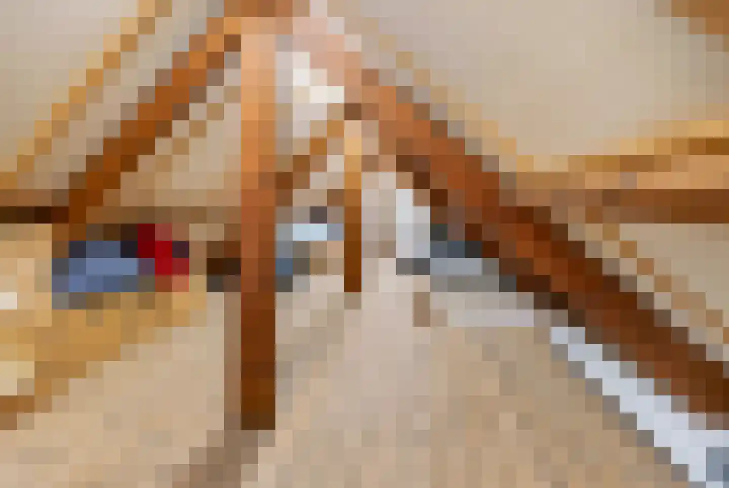 Wilhelminalaan 22 Den Burg thumbnail 36