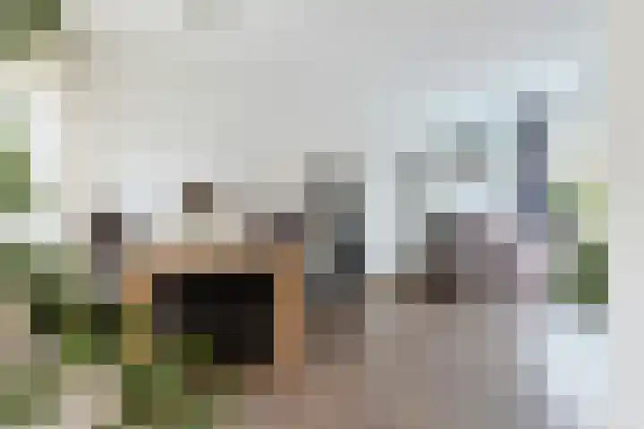 Wilhelminalaan 22 Nieuwkoop thumbnail 15