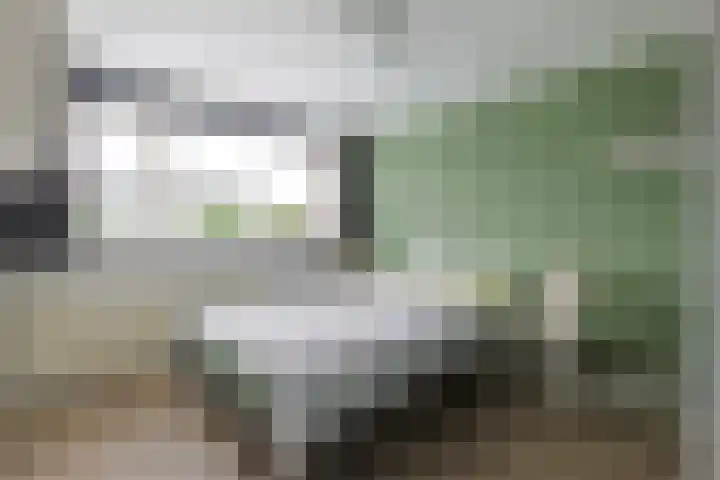 Wilhelminalaan 22 Nieuwkoop thumbnail 30