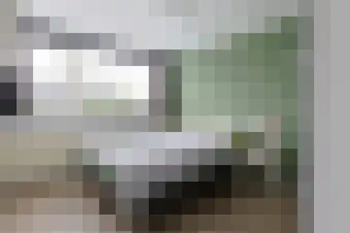 Wilhelminalaan 22 Nieuwkoop thumbnail 31