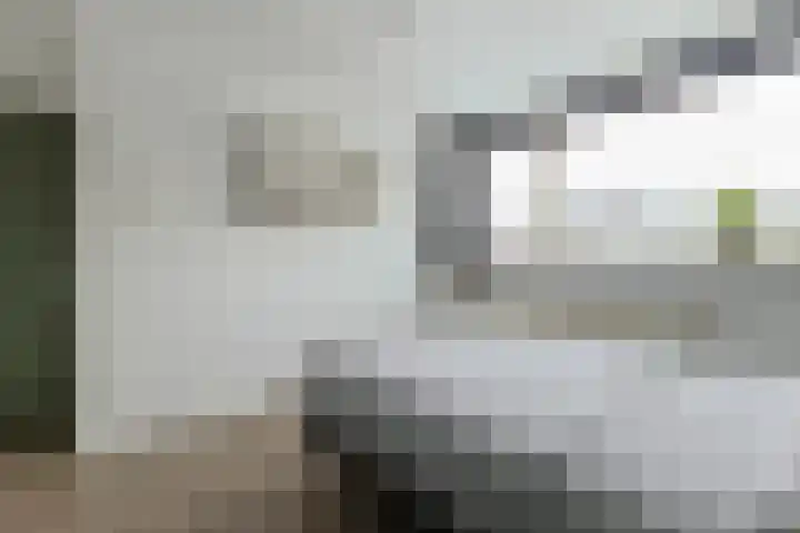 Wilhelminalaan 22 Nieuwkoop thumbnail 33