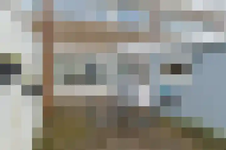 Wilhelminalaan 22 Nieuwkoop thumbnail 47