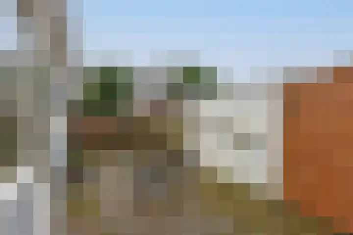 Wilhelminalaan 22 Nieuwkoop thumbnail 49