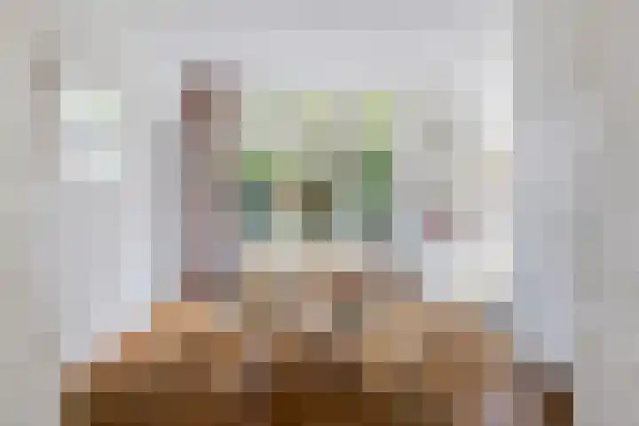 Wilhelminalaan 22 Rotterdam thumbnail 13