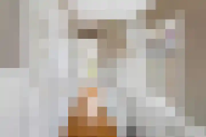 Wilhelminalaan 22 Rotterdam thumbnail 20