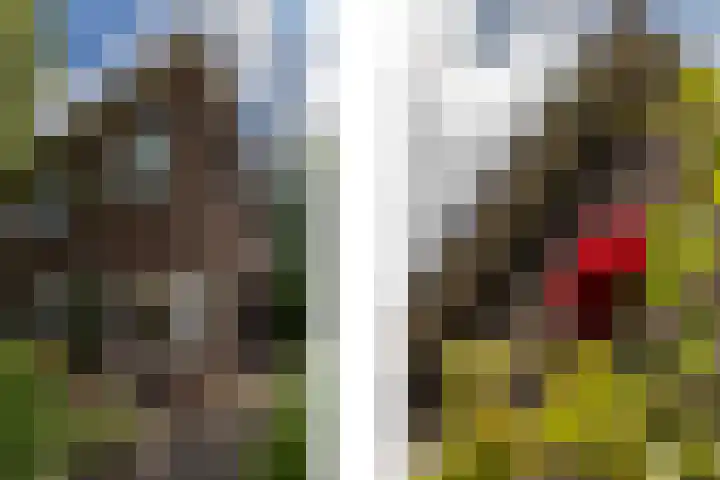 Wilhelminalaan 22 Rotterdam thumbnail 32