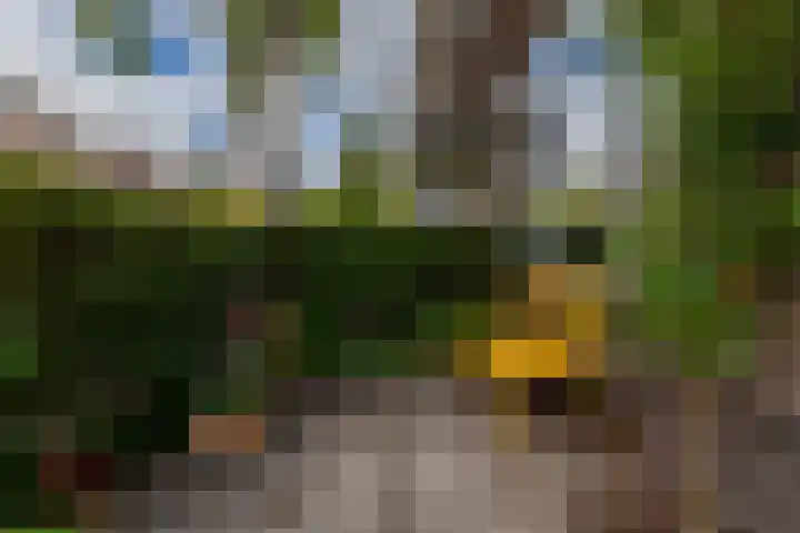 Wilhelminalaan 22 Rotterdam thumbnail 33