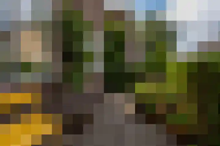 Wilhelminalaan 22 Rotterdam thumbnail 34