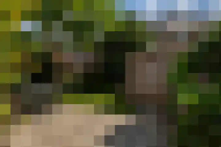 Wilhelminalaan 22 Rotterdam thumbnail 37