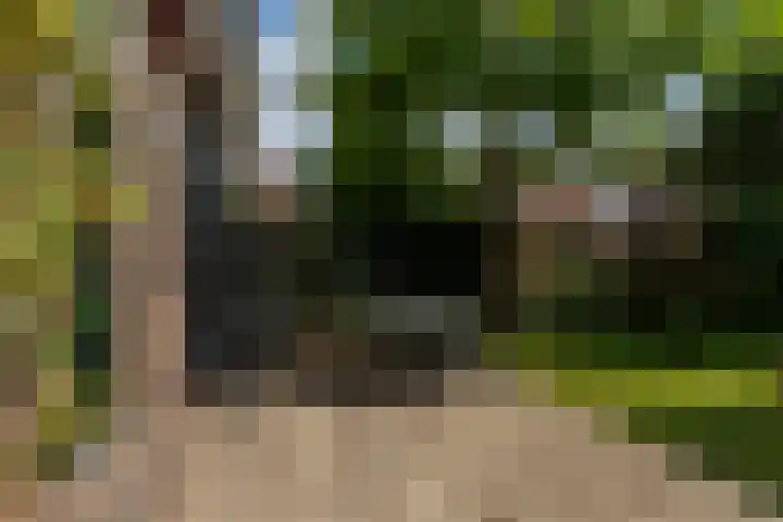 Wilhelminalaan 22 Rotterdam thumbnail 38