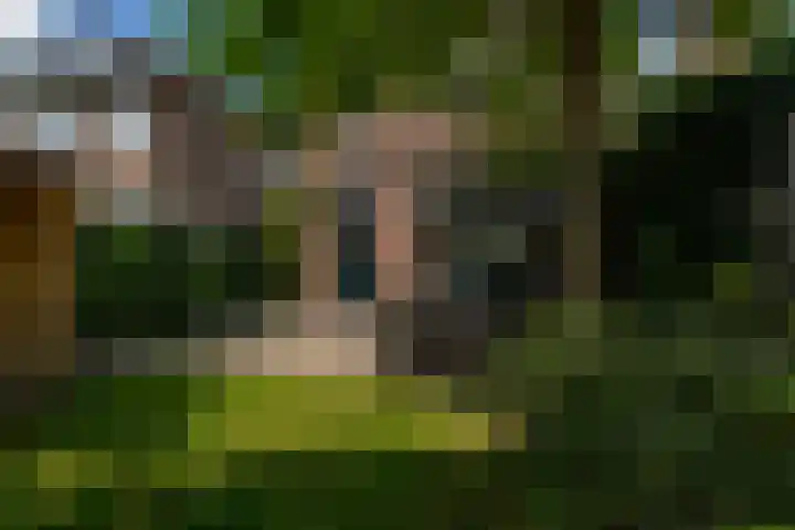 Wilhelminalaan 22 Rotterdam thumbnail 39