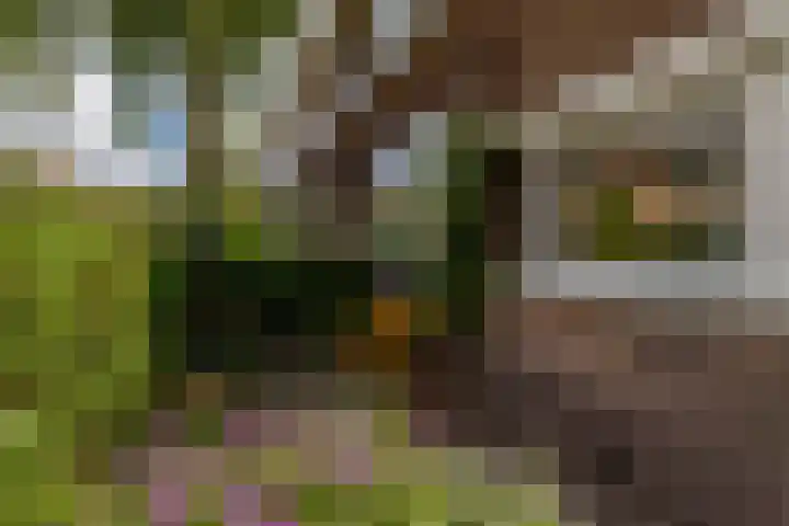 Wilhelminalaan 22 Rotterdam thumbnail 4
