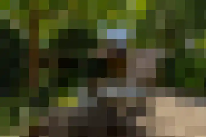 Wilhelminalaan 22 Rotterdam thumbnail 5