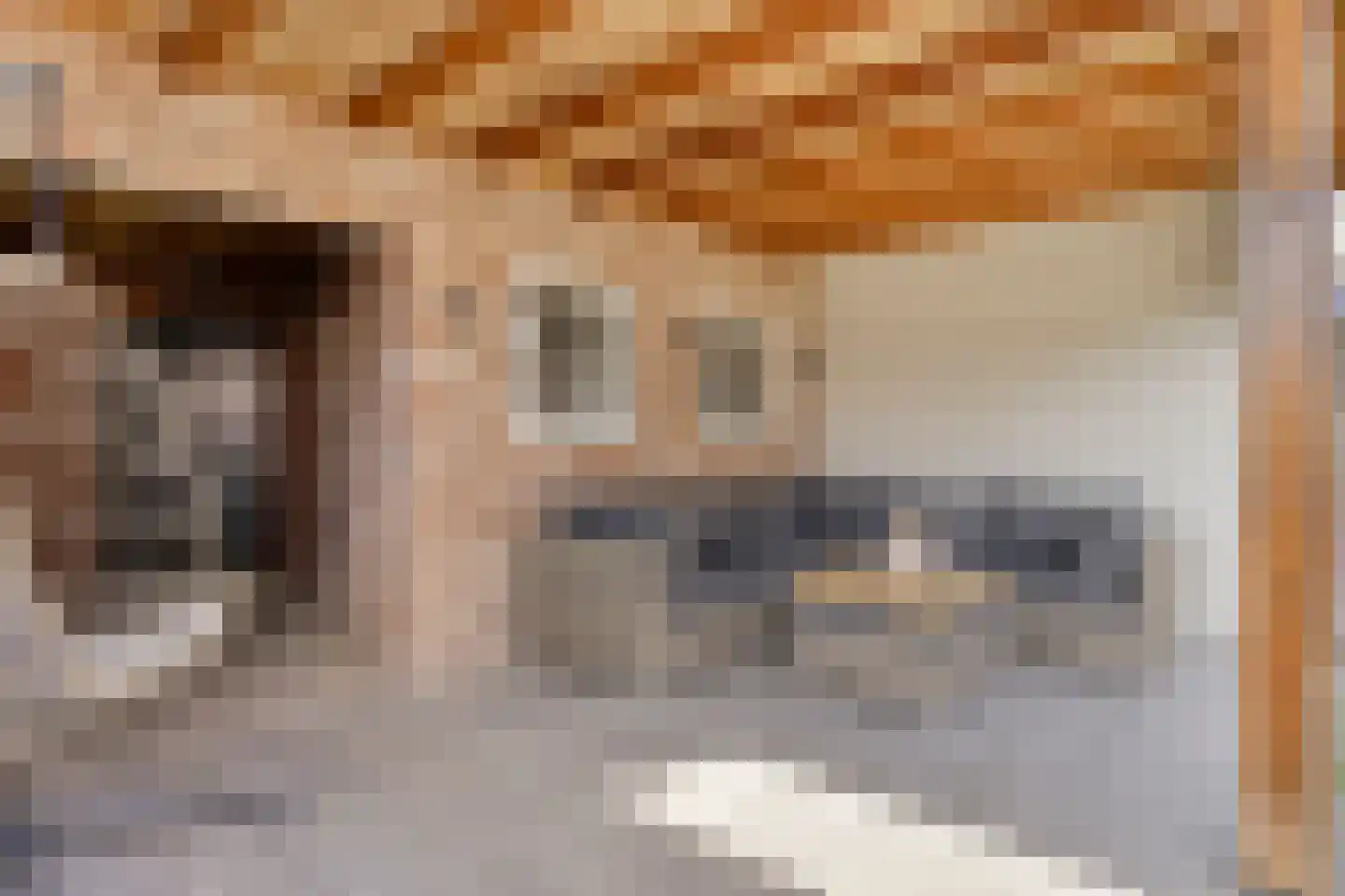Wilhelminalaan 23 Etten-Leur thumbnail 27