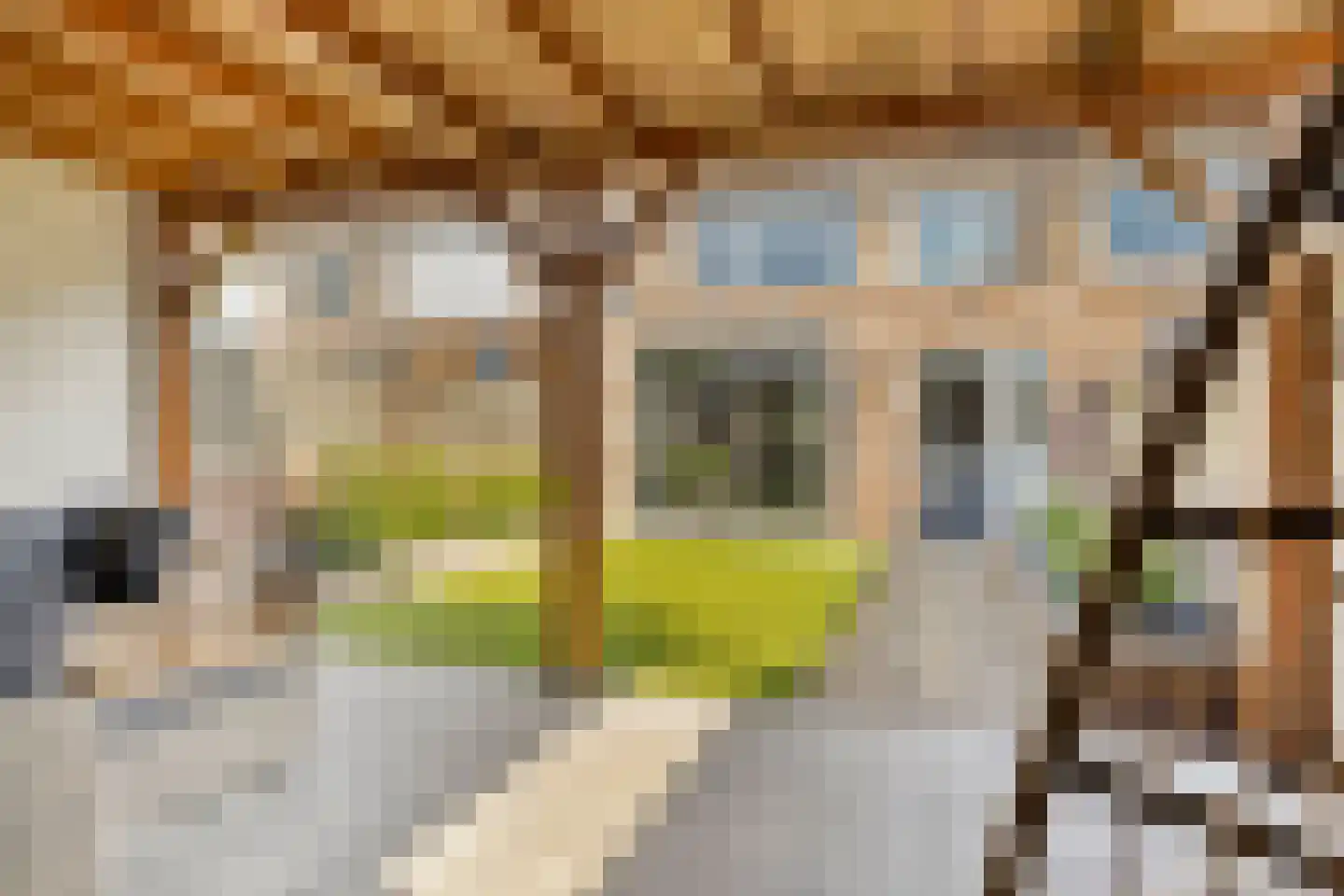 Wilhelminalaan 23 Etten-Leur thumbnail 28