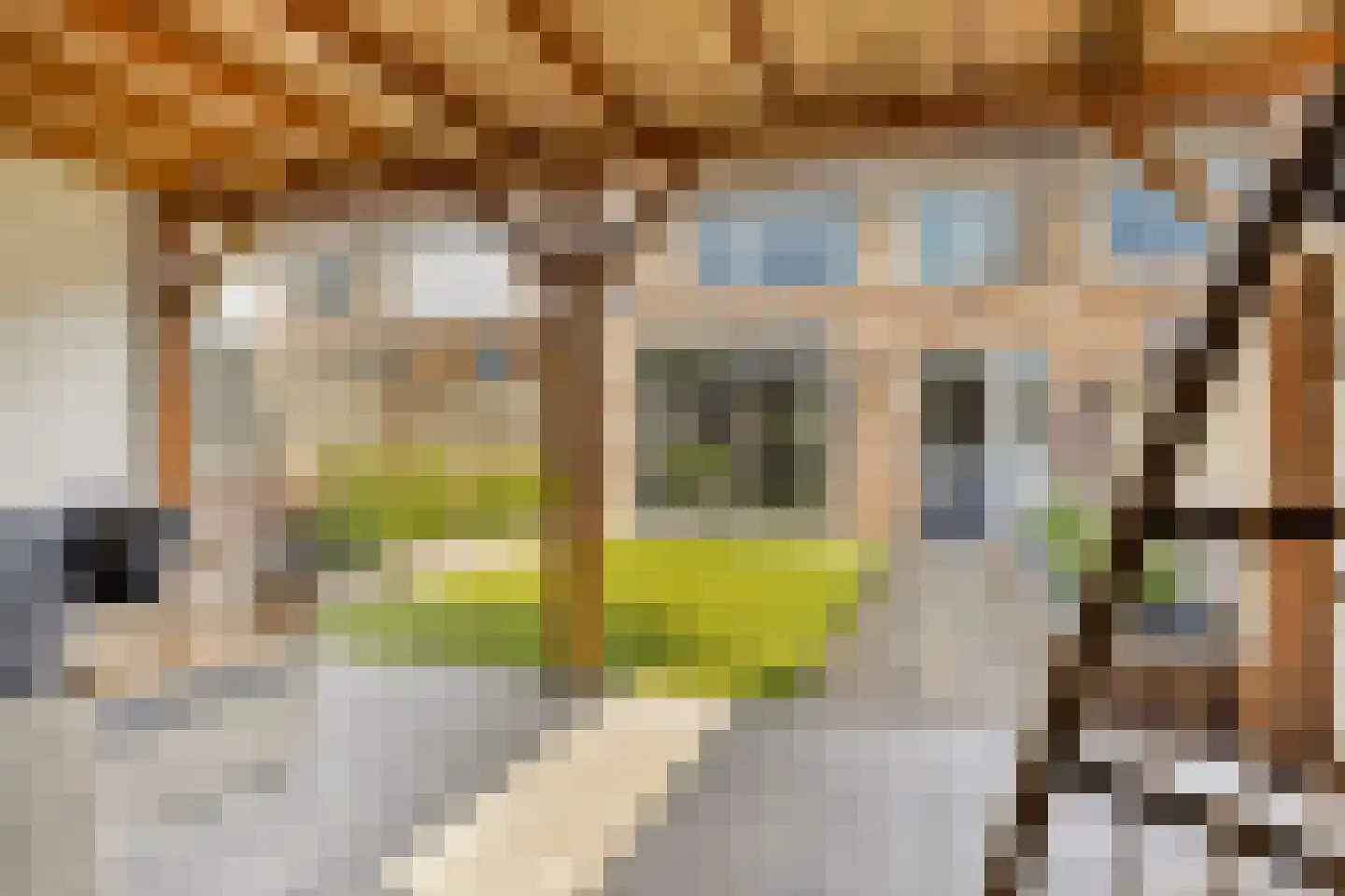 Wilhelminalaan 23 Etten-Leur thumbnail 6