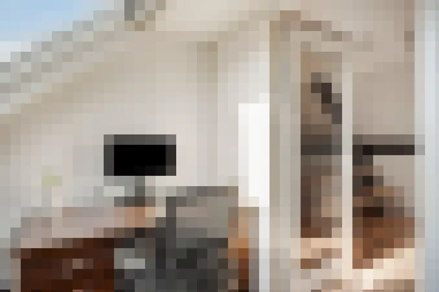 Wilhelminalaan 23 Roermond thumbnail 37