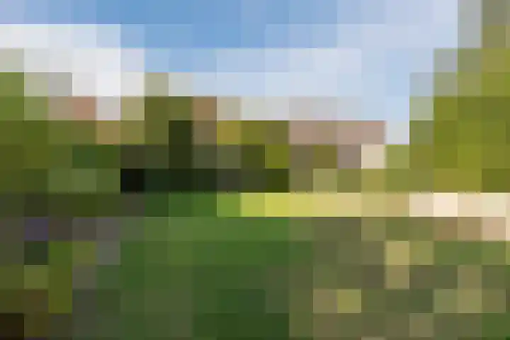Wilhelminalaan 23 Stevensweert thumbnail 4