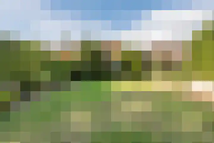 Wilhelminalaan 23 Stevensweert thumbnail 45