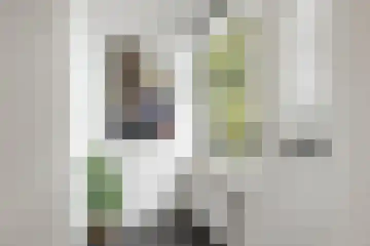 Wilhelminalaan 24 Harmelen thumbnail 11