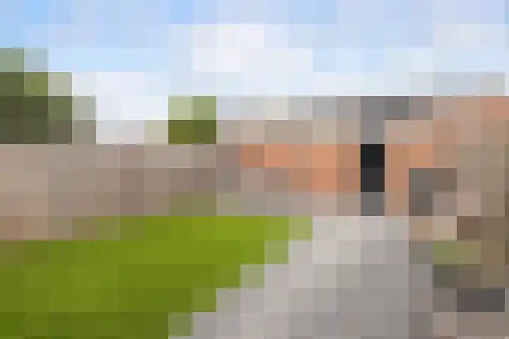 Wilhelminalaan 24 Harmelen thumbnail 19