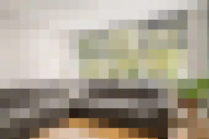 Wilhelminalaan 24 Harmelen thumbnail 26