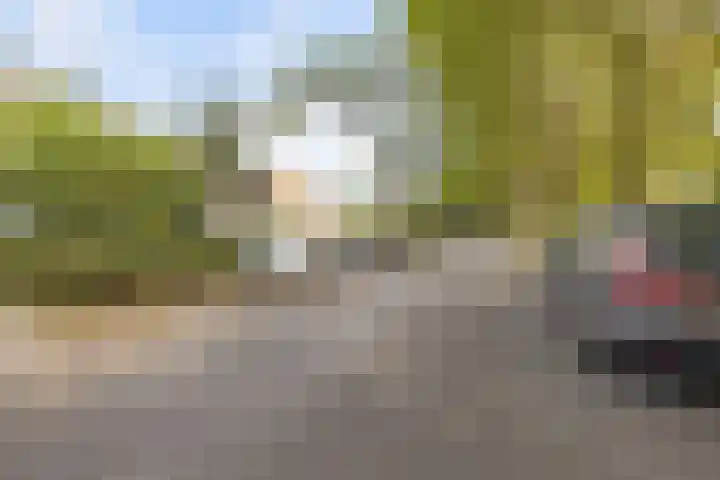 Wilhelminalaan 24 Harmelen thumbnail 37