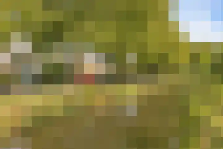 Wilhelminalaan 24 Harmelen thumbnail 38