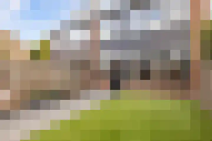 Wilhelminalaan 24 Harmelen thumbnail 4